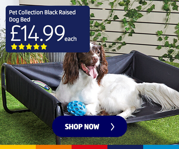 Pet Collection Black Raised Dog Bed