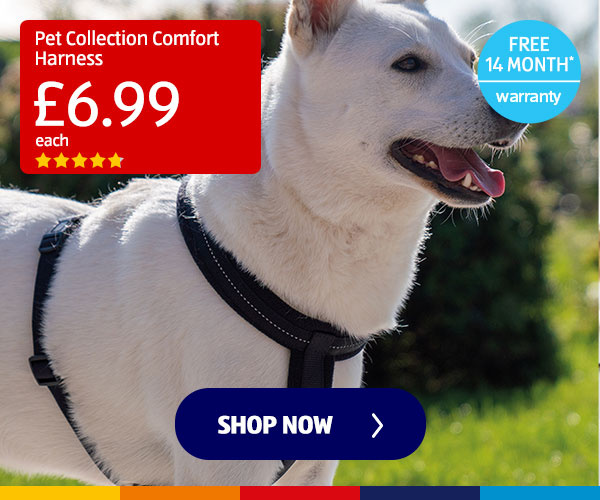 Pet Collection Comfort Harness - Shop Now