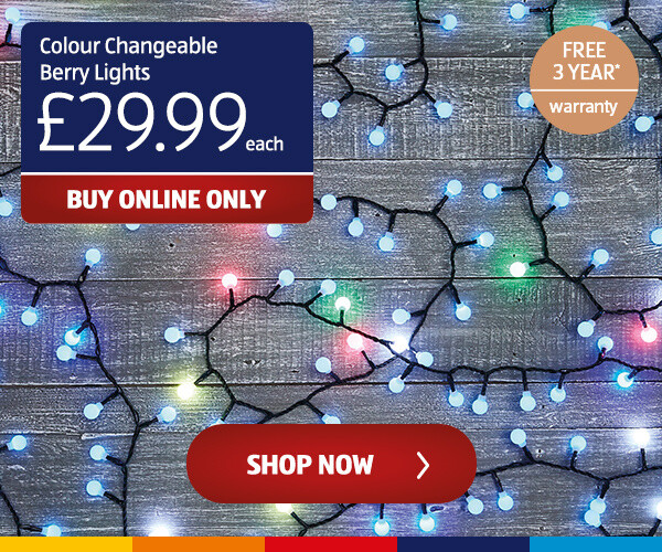 Colour Changeable Berry Lights