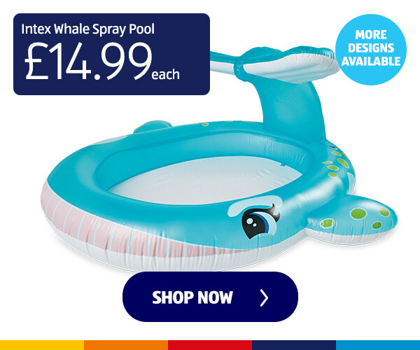 Intex Whale Spray Pool