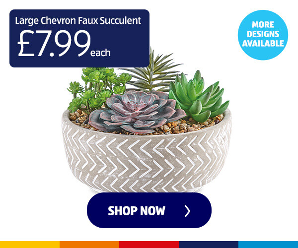 faux-succulent