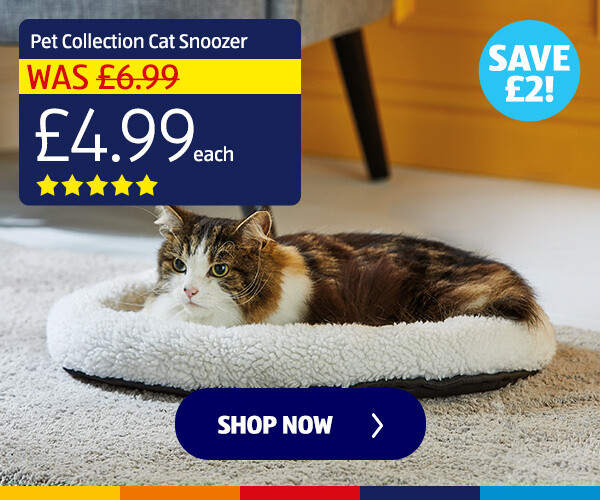 pet-collection-cat-snoozer