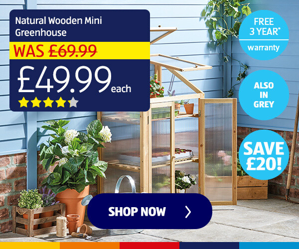 Natural Wooden Mini Greenhouse