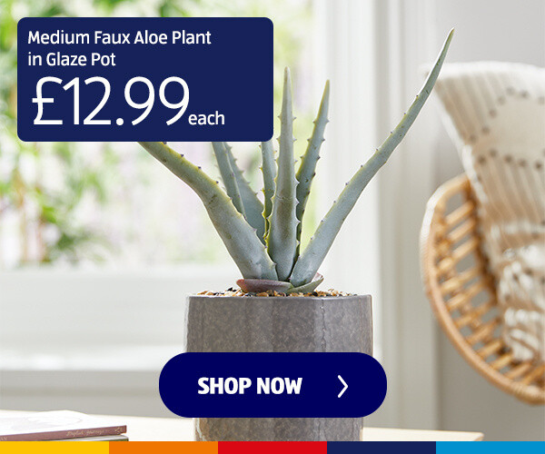 Medium Faux Aloe Plant in Glaze Pot