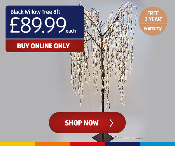 Black Willow Tree 8ft