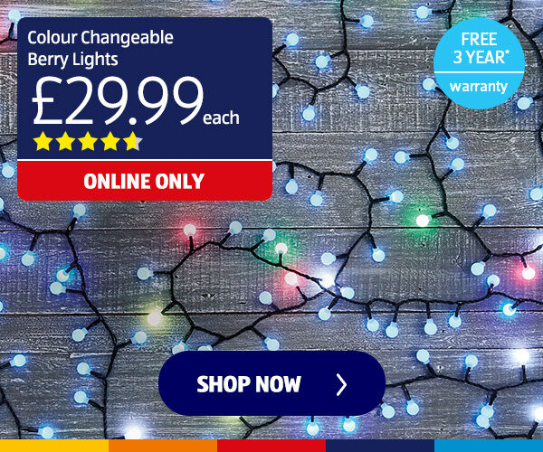 Colour Changeable Berry Lights