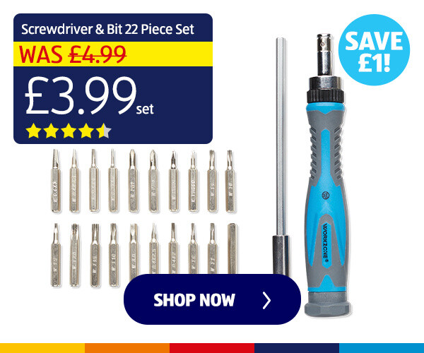 Screwdriver & Bit 22 Piece Set