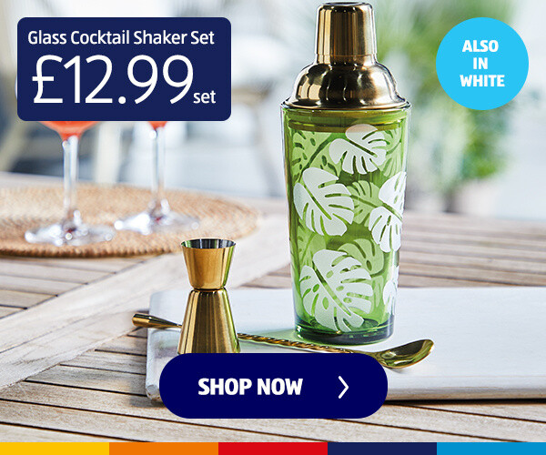 Glass Cocktail Shaker Set