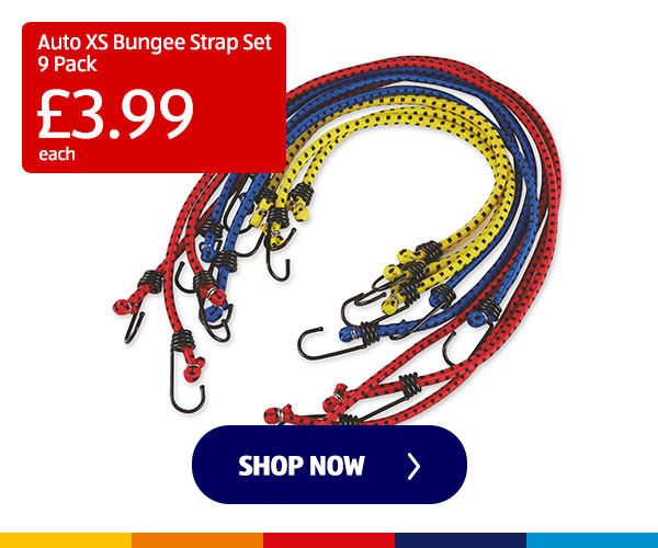 Auto XS Bungee Strap Set 9 Pack - Shop Now