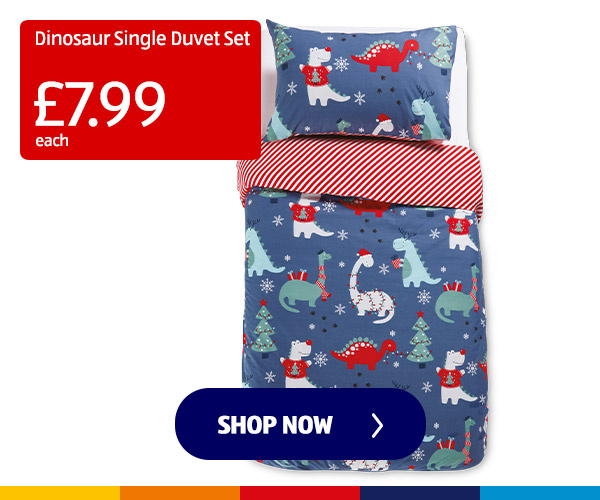 Dinosaur Single Duvet Set - Shop Now