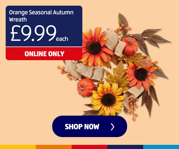 Orange Seasonal Autumn Wreath