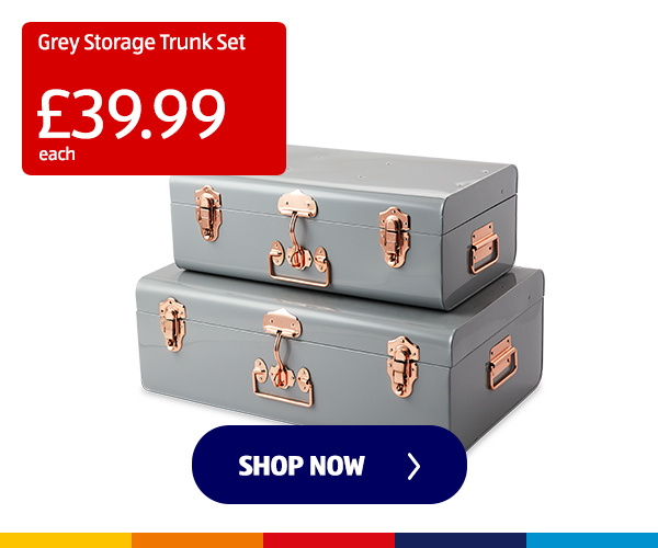 Grey Storage Trunk Set - Shop Now