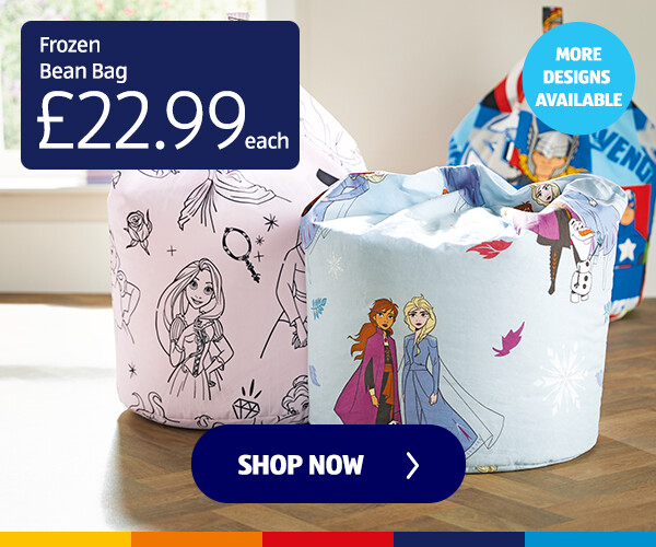 Frozen Bean Bag 50cm - Shop Now