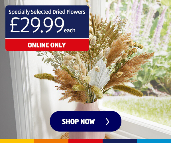 Specially Selected Dried Flowers