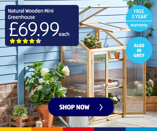 wooden-mini-greenhouse