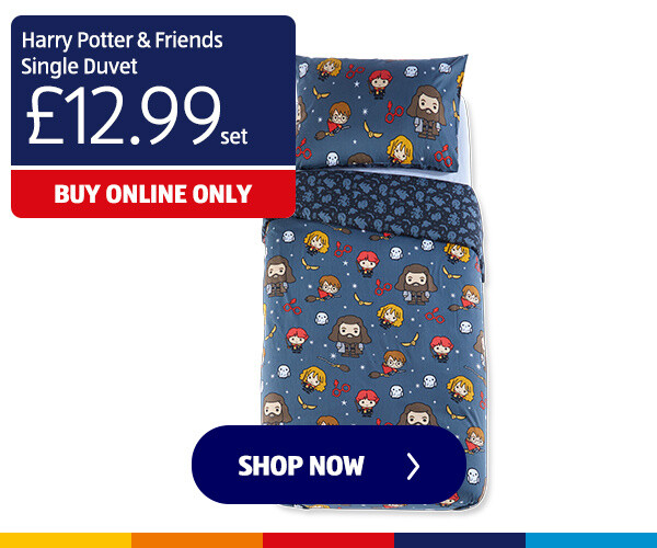 Harry Potter & Friends Single Duvet