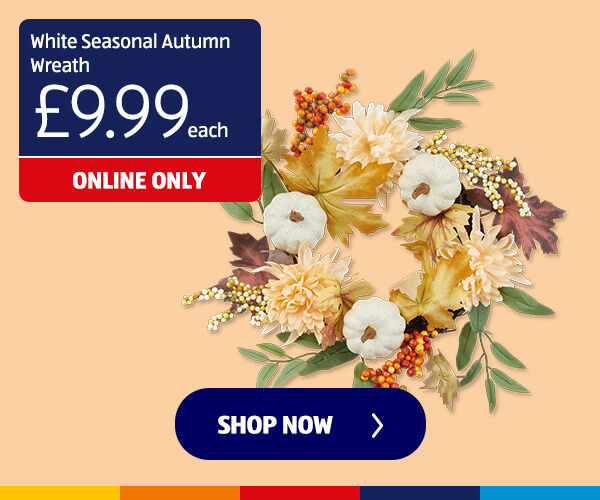 White Seasonal Autumn Wreath