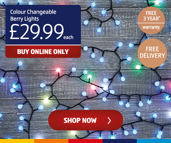 Colour Changeable Berry Lights