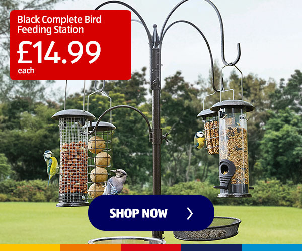 Black Complete Bird Feeding Station - Shop Now