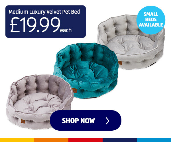 Medium Luxury Velvet Pet Bed