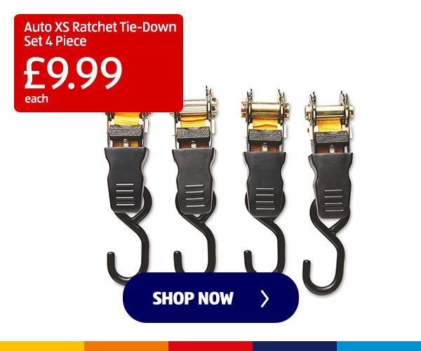 Auto XS Ratchet Tie-Down Set 4 Piece - Shop Now 