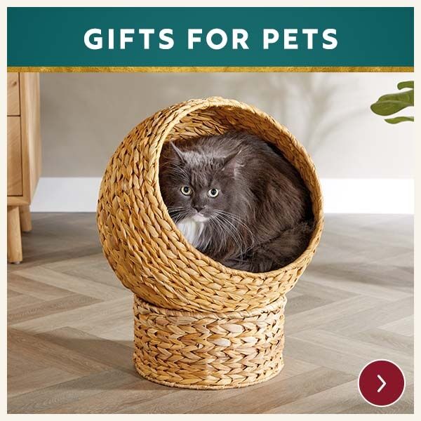 Gifts for Pets