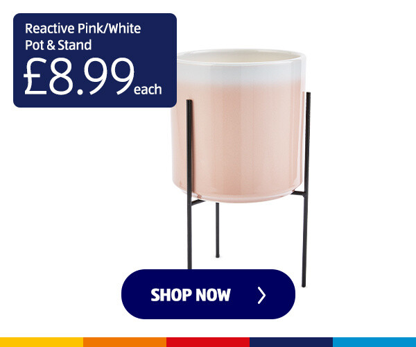 Reactive Pink/White Pot & Stand - Shop Now