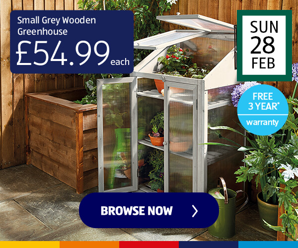Small Natural Wooden Greenhouse - Shop Now