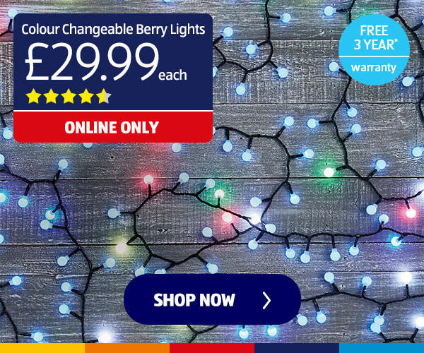 Colour Changeable Berry Lights