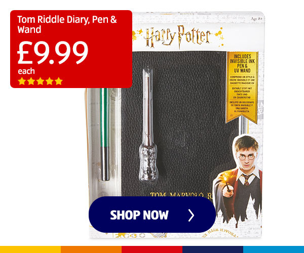 Tom Riddle Diary, Pen & Wand - Shop Now