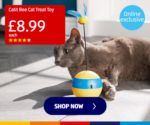 Catit Bee Cat Treat Toy - Shop Now