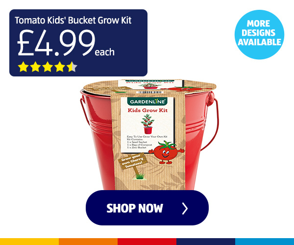 strawberry-kids%27-bucket-grow-kit