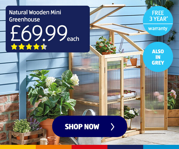 wooden-mini-greenhouse