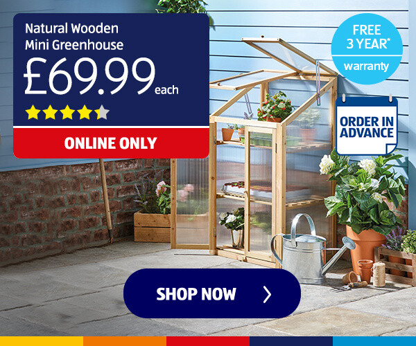 Natural Wooden Mini Greenhouse