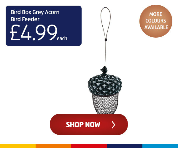 bird-box-grey-acorn-bird-feeder