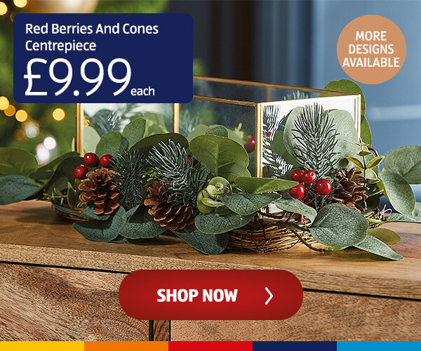 Red Berries And Cones Centrepiece