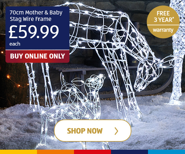 70cm Mother & Baby Stag Wire Frame - Shop Now