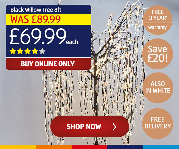 Black Willow Tree 8ft