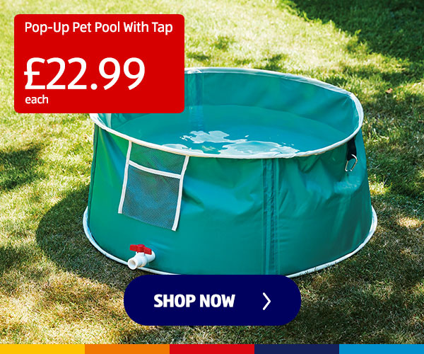 Pop-Up Pet Pool With Tap - Shop Now