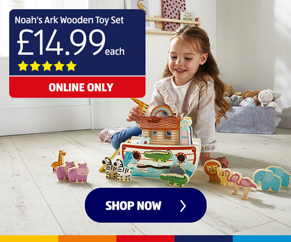 Noah's Ark Wooden Toy Set