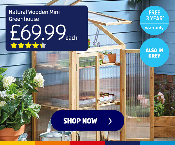 Natural Wooden Mini Greenhouse
