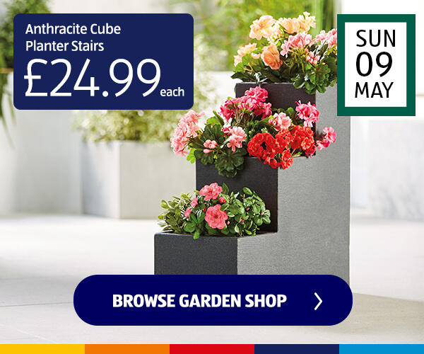 Anthracite Cube Planter Stairs - Shop Now