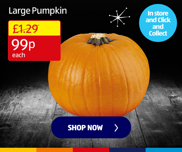 Large Pumpkin