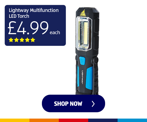 Lightway Multifunction LED Torch - Shop Now