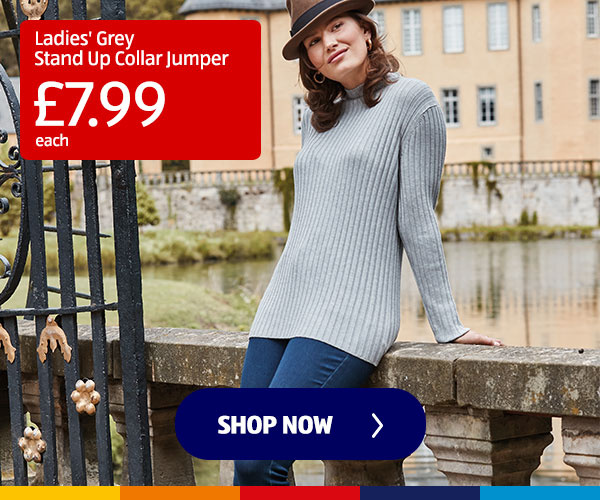 Ladies' Grey Stand Up Collar Jumper - Shop Now