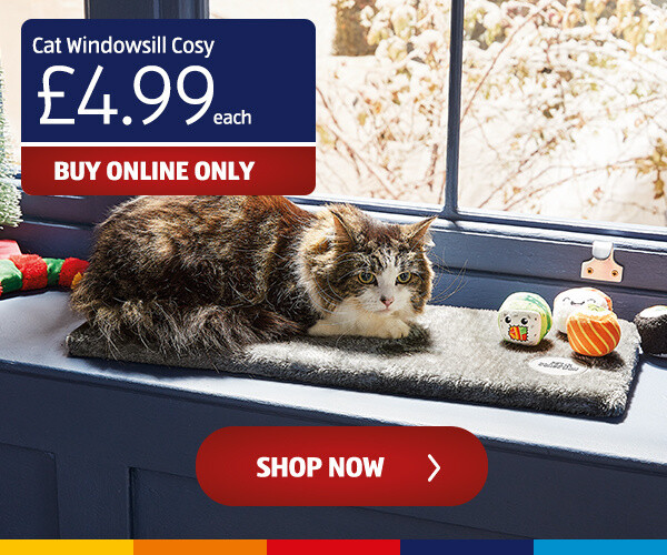 Cat Windowsill Cosy