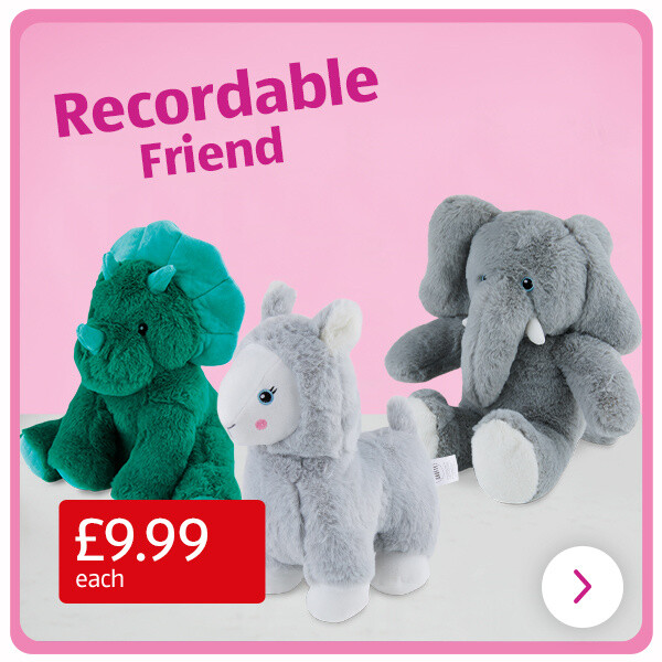 Recordable Friend