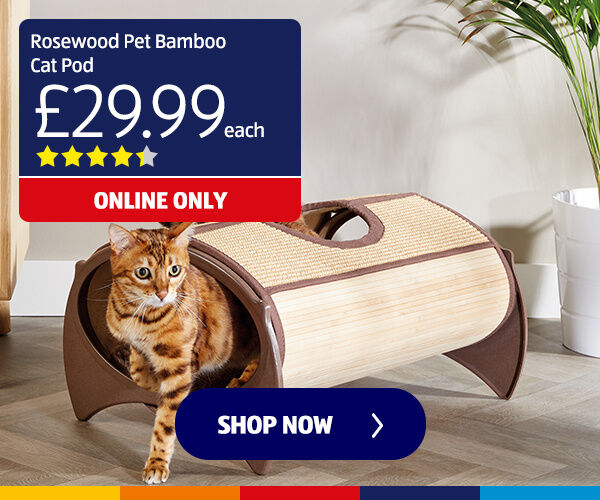 Rosewood Pet Bamboo Cat Pod