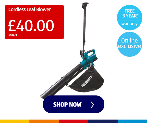 Cordless Leaf Blower - Shop Now