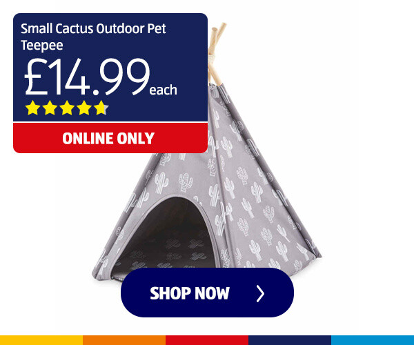 small-cactus-outdoor-pet-teepee